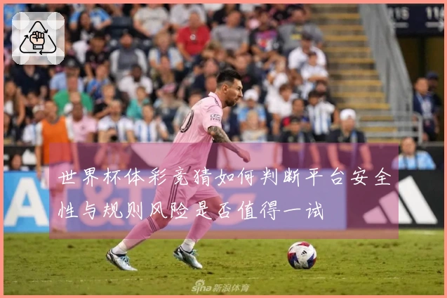 世界杯体彩竞猜如何判断平台安全性与规则风险是否值得一试